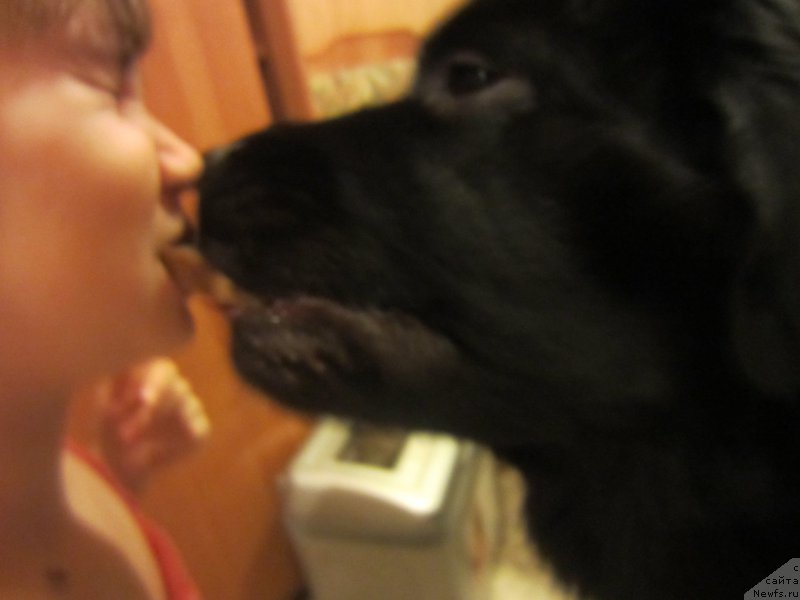 Фотография № 206219