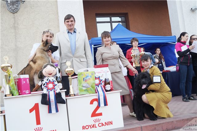 Фотография № 206233