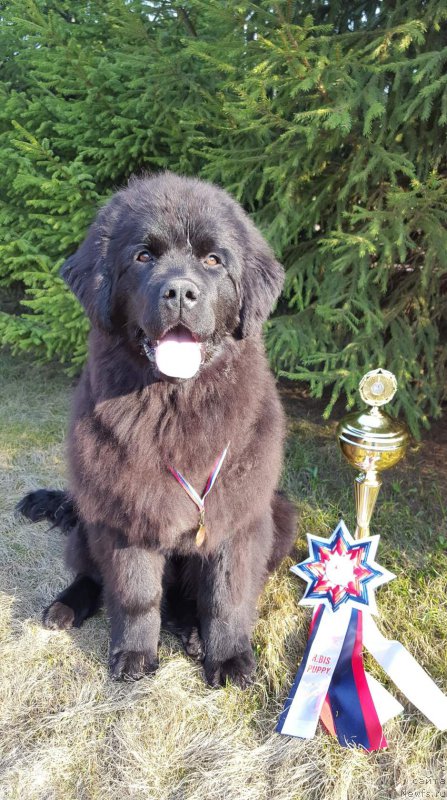 Фотография № 206236