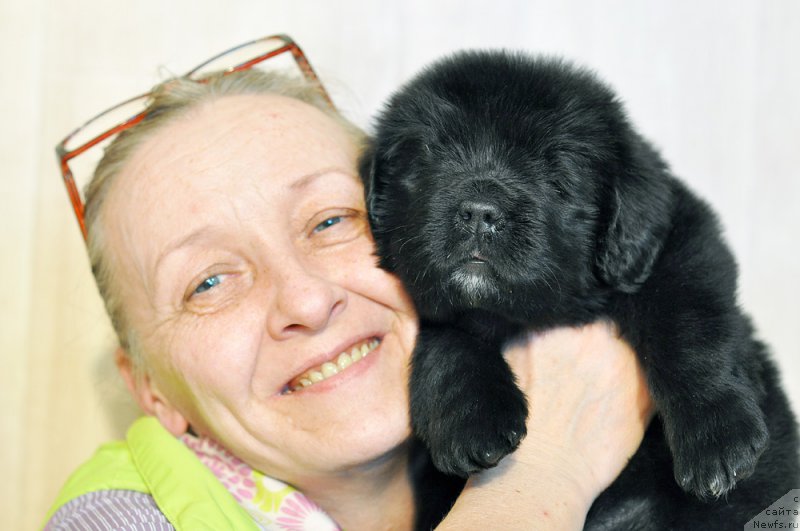 Фотография № 206251