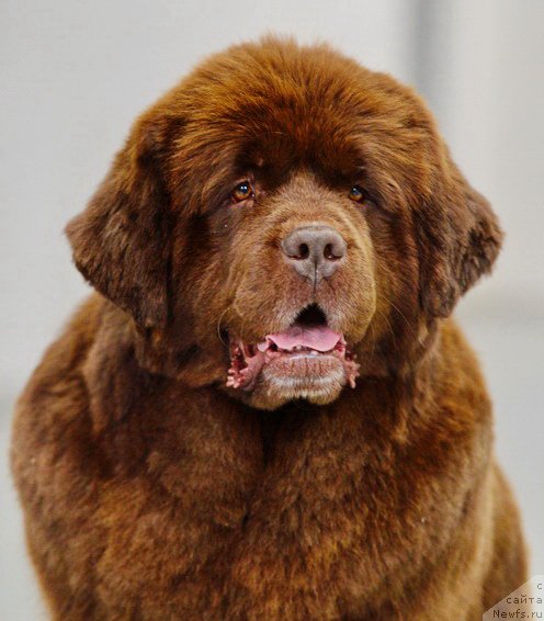 Фотография № 206255