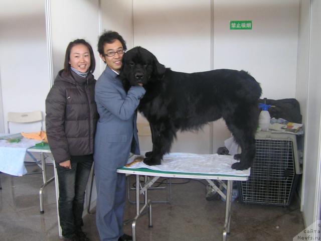 Фотография № 20626