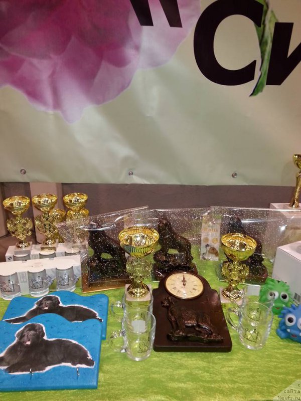 Фотография № 206261