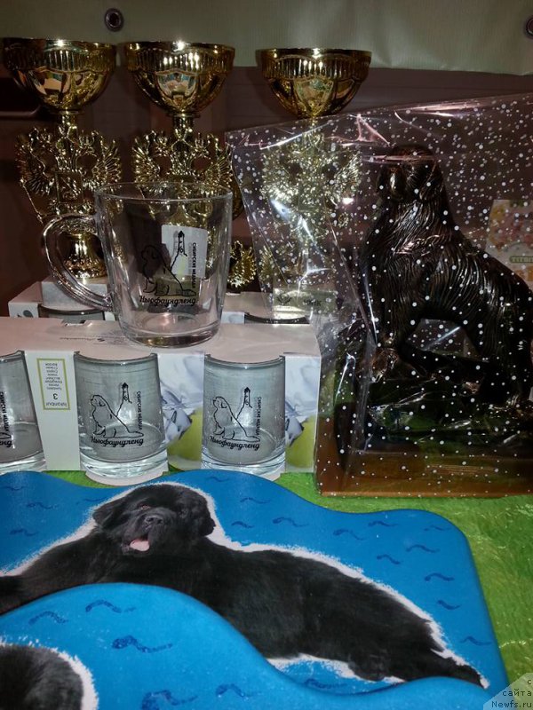 Фотография № 206262