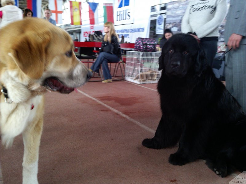 Фотография № 206276