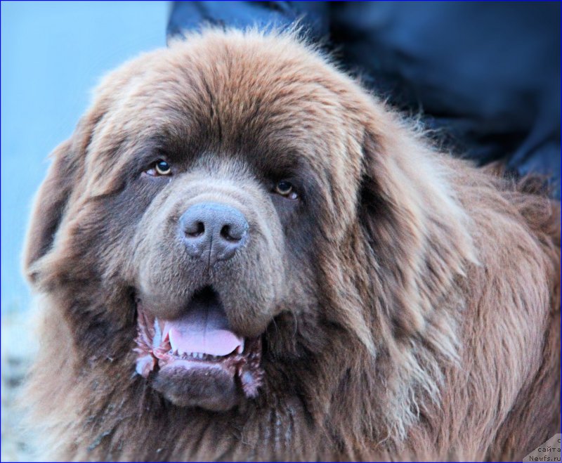 Фотография № 206281