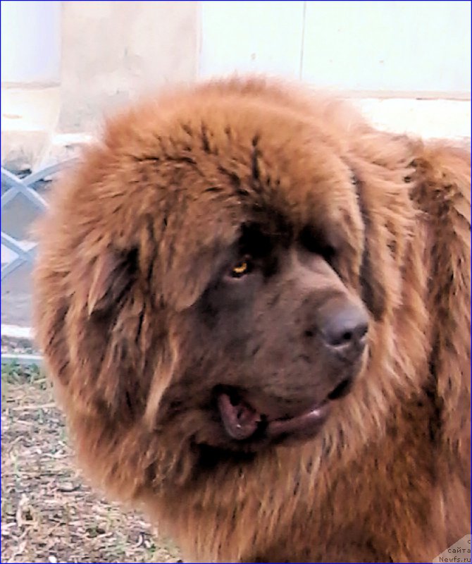 Фотография № 206291