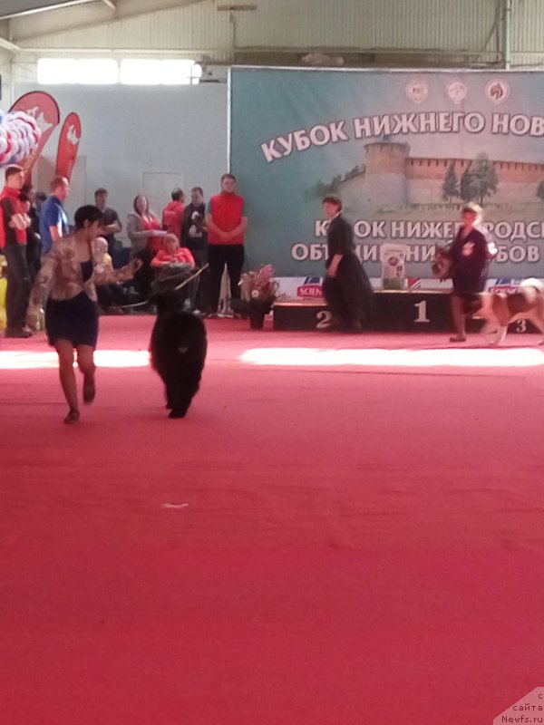 Фото: Екатерина Наумова