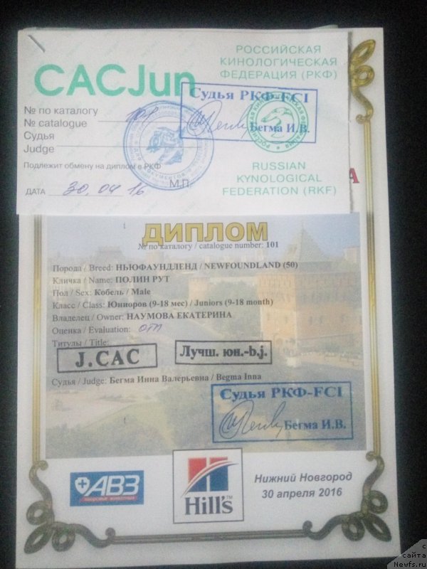 Фото: Екатерина Наумова