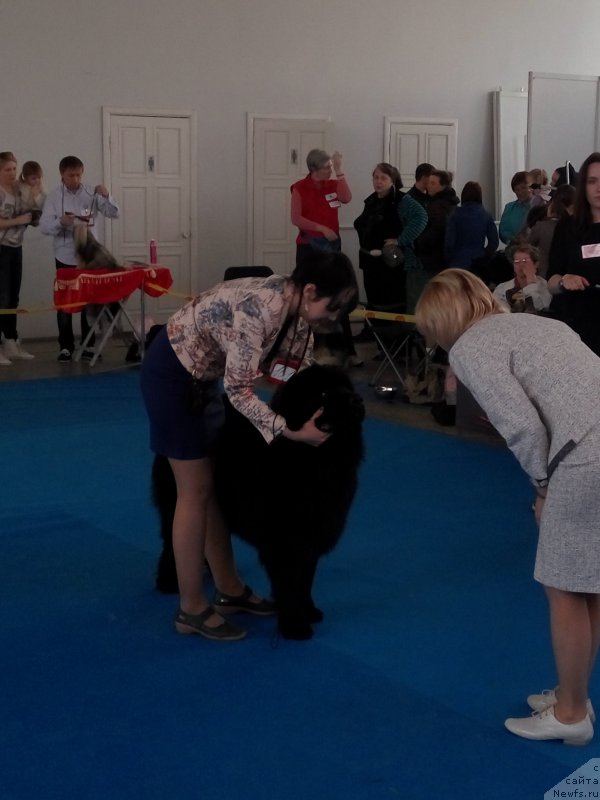 Фото: Екатерина Наумова