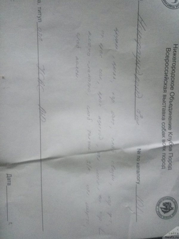 Фото: Екатерина Наумова