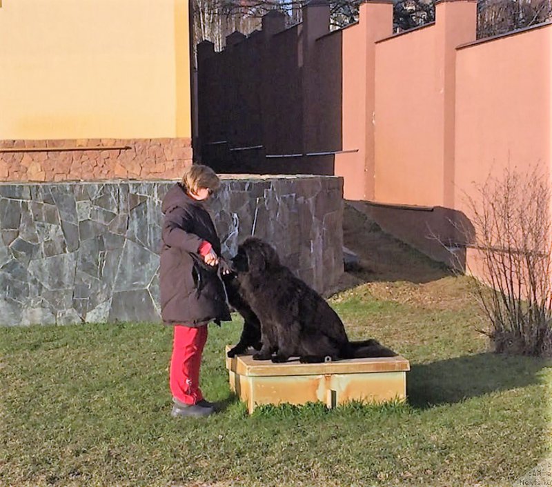 Фотография № 206358