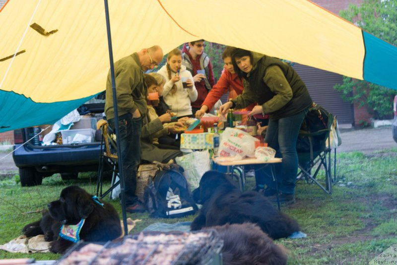 Фотография № 206402