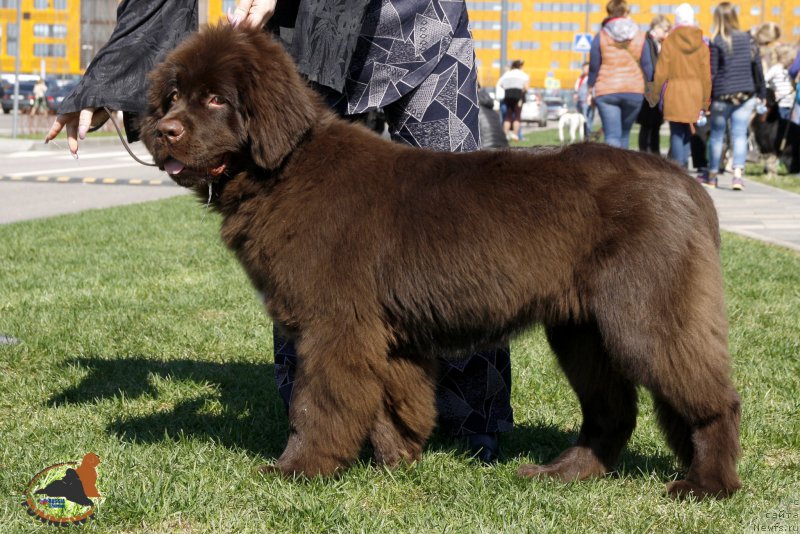 Фотография № 206418