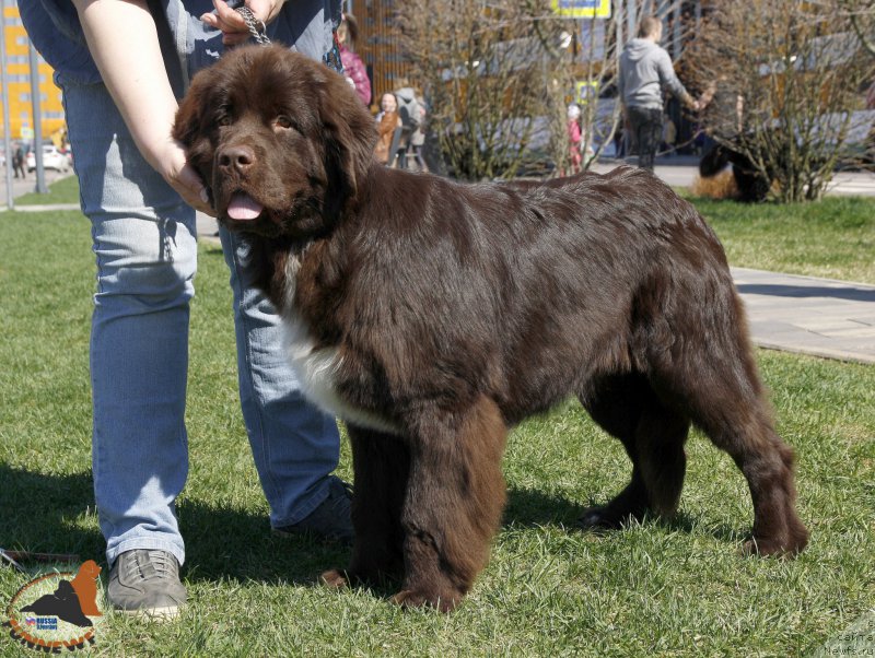 Фотография № 206419