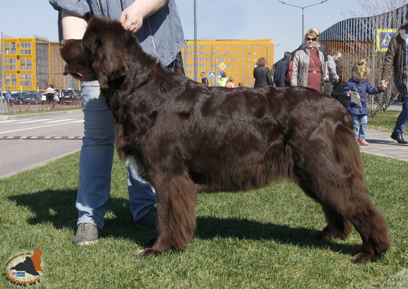 Фотография № 206422