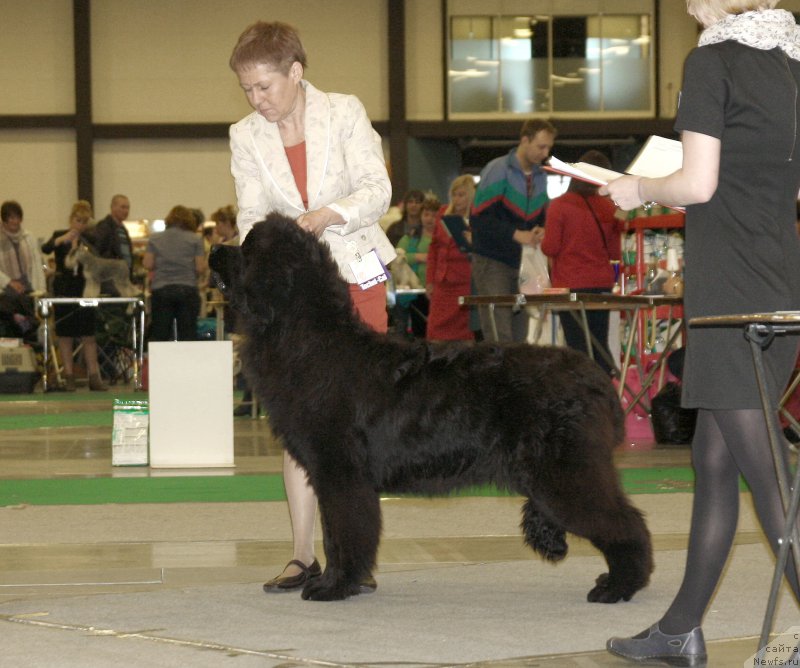 Фотография № 206423