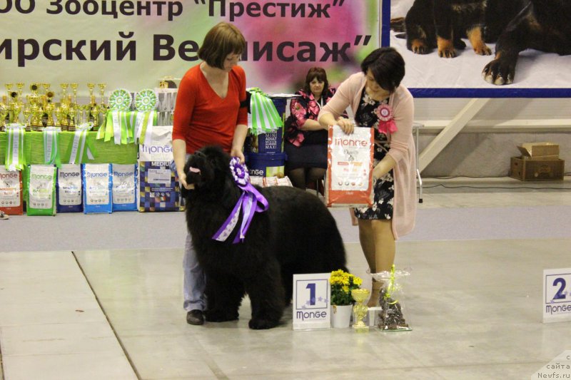 Фотография № 206430