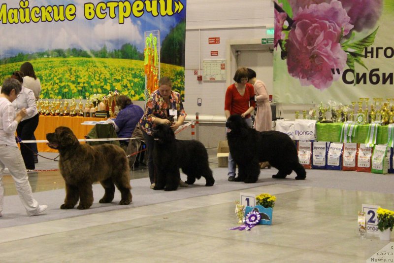 Фотография № 206432