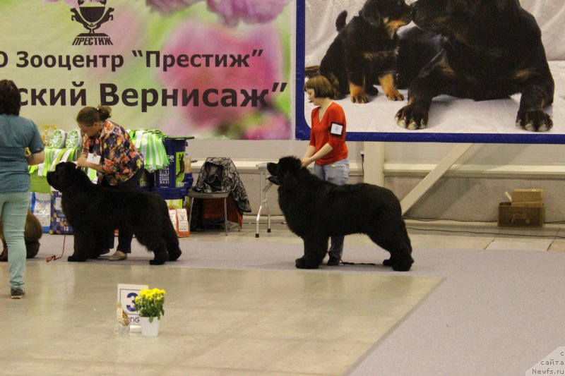 Фотография № 206433