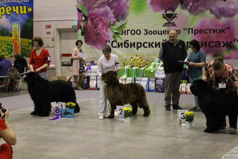 Фотография № 206434