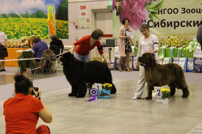 Фотография № 206435