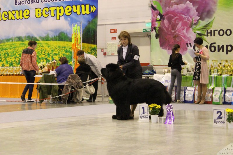 Фотография № 206439