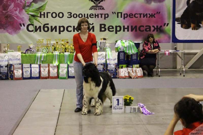 Фотография № 206441