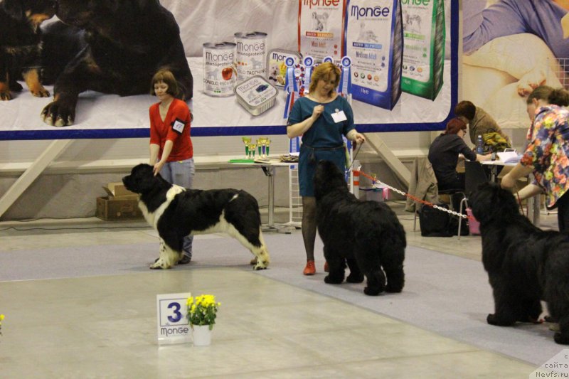 Фотография № 206442