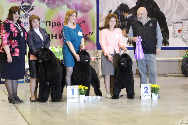 Фотография № 206444