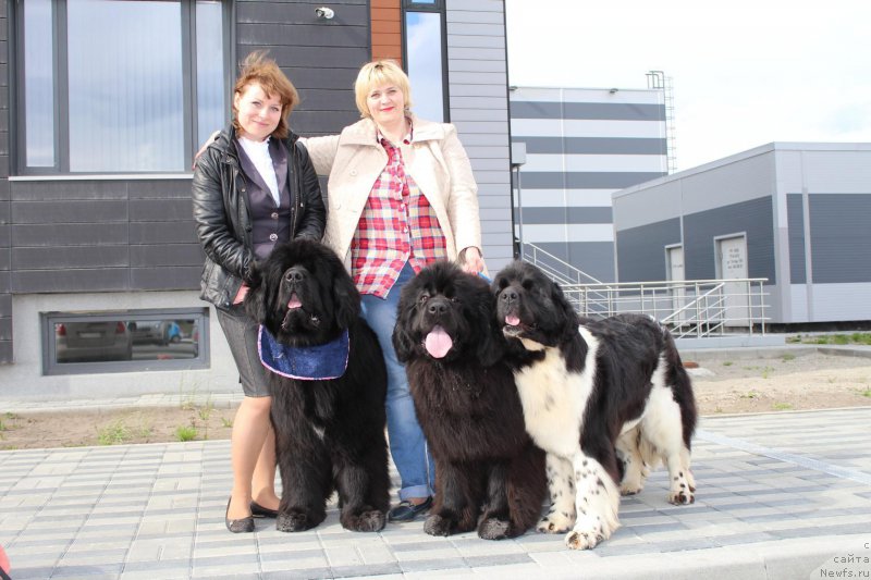 Фотография № 206445