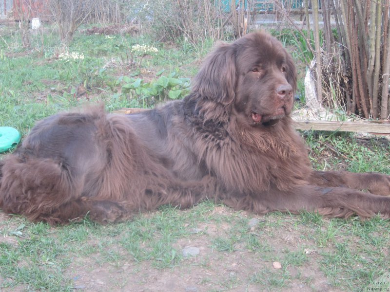 Фото: Наталья Смазчикова