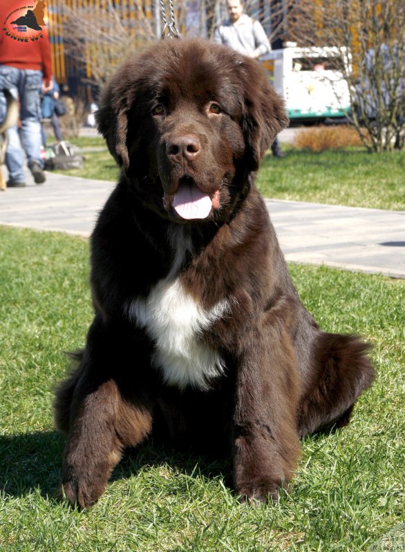 Фотография № 206461