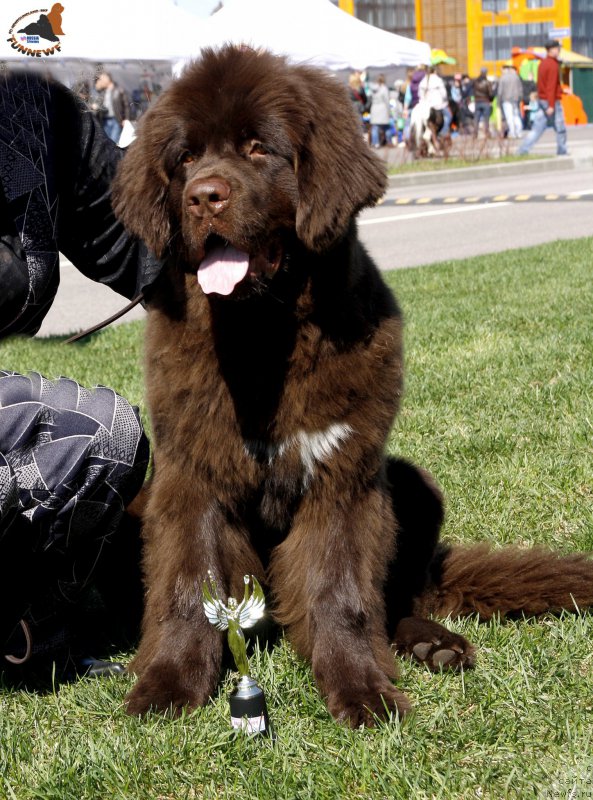 Фотография № 206462