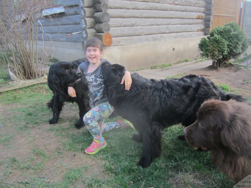 Фото: Наталья Смазчикова