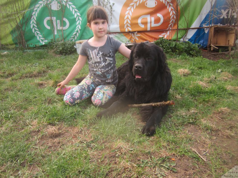 Фото: Наталья Смазчикова