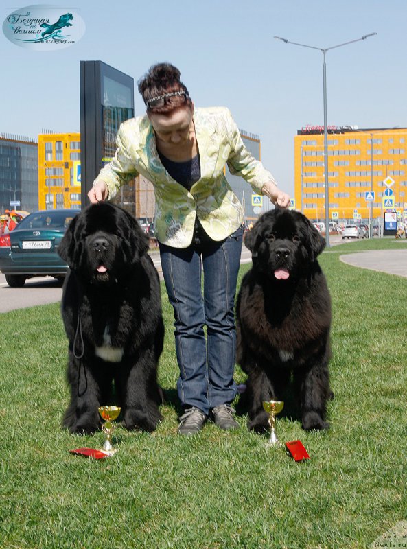 Фотография № 206469