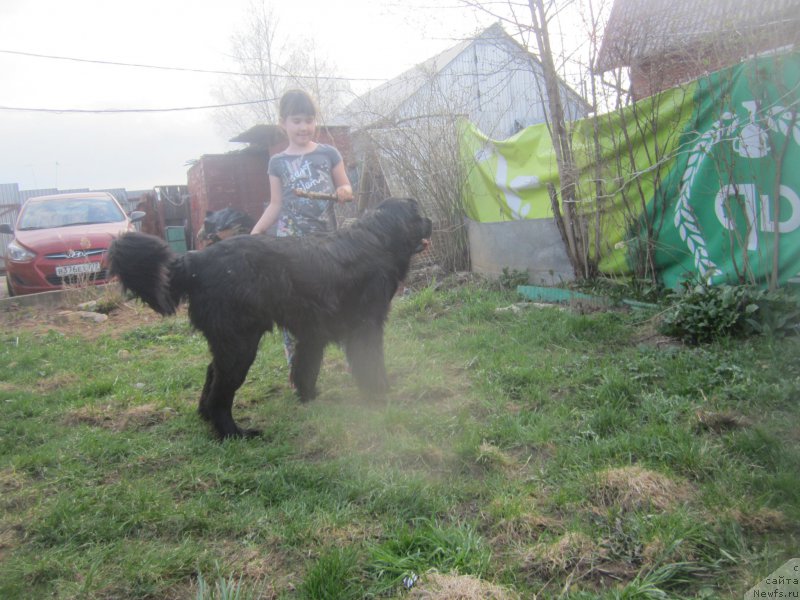 Фото: Наталья Смазчикова