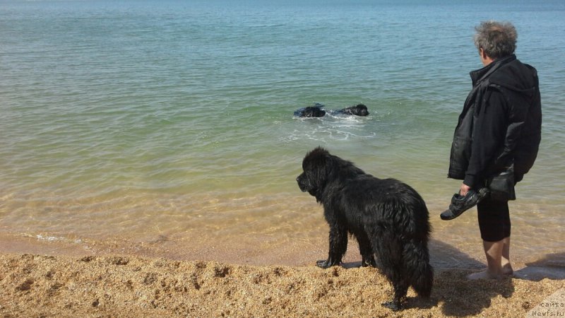 Фото: Наталья Смазчикова