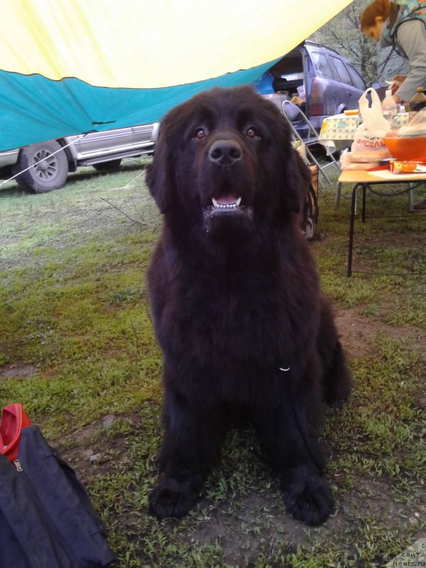 Фотография № 206482