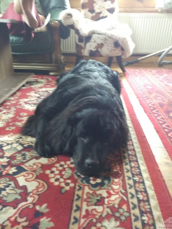 Фото: Наталья Смазчикова