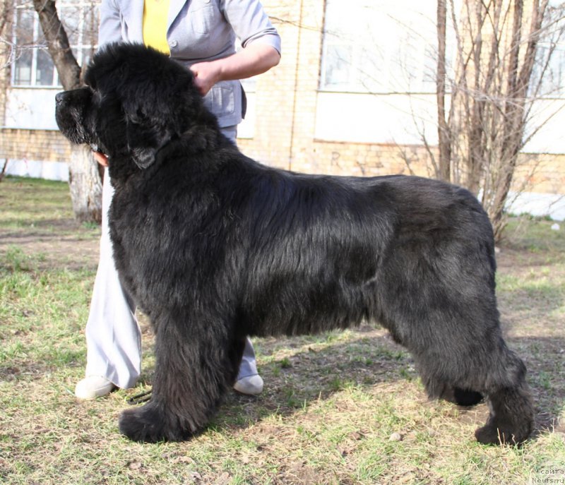 Фотография № 206488