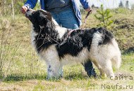 Фотография № 206507