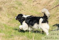 Фотография № 206508