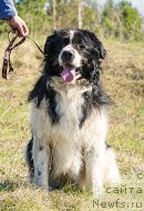 Фотография № 206509