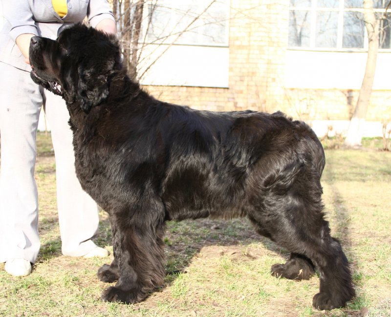 Фотография № 206514