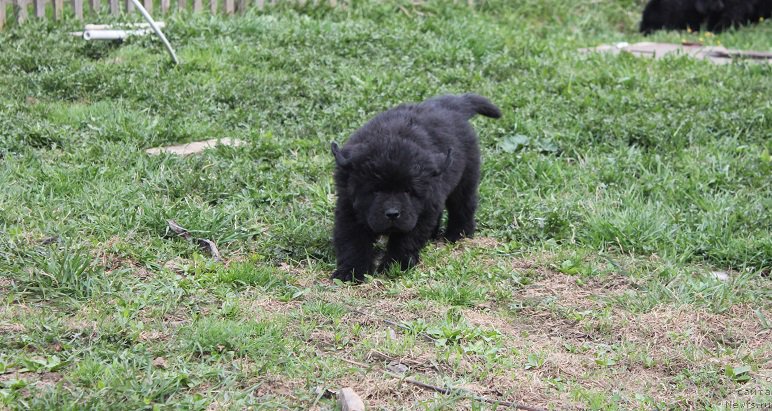 Фотография № 206533