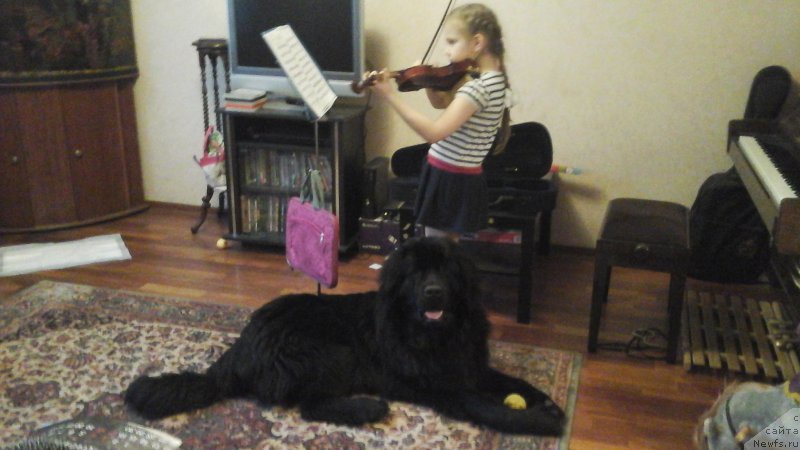 Фото: Наталья Смазчикова