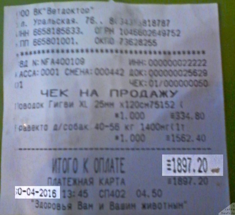 Фотография № 206563