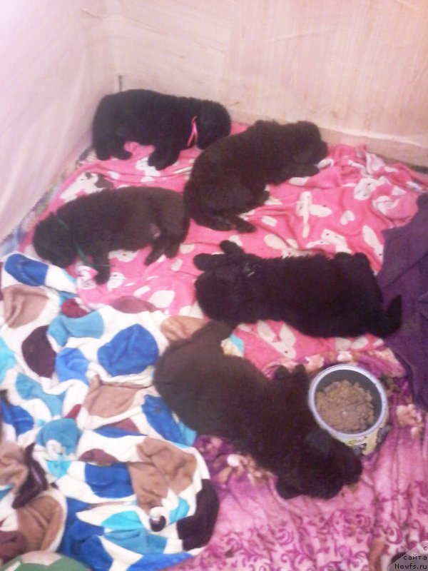 Фотография № 206579